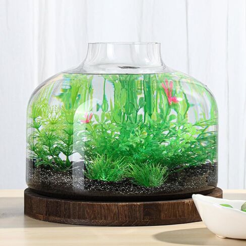 PONDON 1.3 Gallon Fish Bowl Vase, Glass Plant Terrarium Kit, Complete with Wooden Base and Water Changer in Saudi Arabia