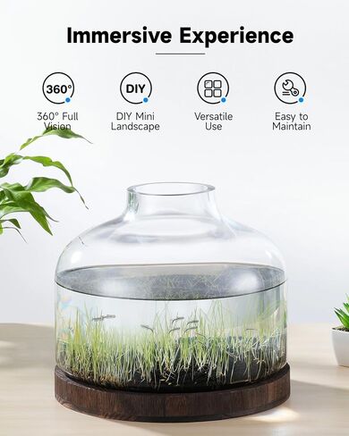 PONDON 1.3 Gallon Fish Bowl Vase, Glass Plant Terrarium Kit, Complete with Wooden Base and Water Changer in Saudi Arabia