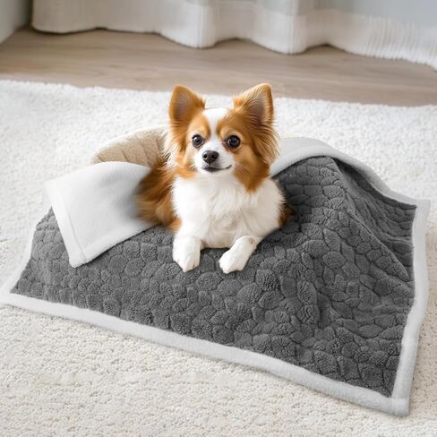 LOOBANI Waterproof Bed Blanket for Dogs: Pet Blanket Liquid Pee Proof for Bed Couch Sofa, Soft Warm Sherpa Fleece Washable Reversible Blanket, Waterproof Blanket for Small Dogs Cats, 25"x 35" in Saudi Arabia