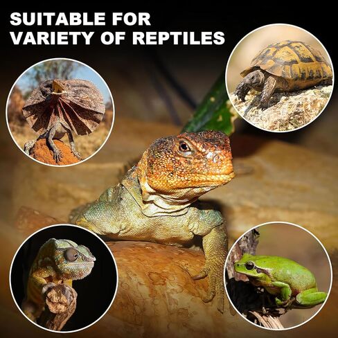 MIXJOY 250W Reptile Heat Lamp 2Pack Ceramic Heat Emitters Reptile Heat Lamp Bulbs, No Light Emitting Ceramic Heat Bulbs for Amphibian Terrarium Reptile Gecko Lizard Bearded Dragon Turtle Chicken Snake in Saudi Arabia