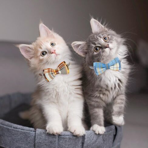 Cat Collar Plaid with Bells Breakaway Cat Collar Bowtie 2 Pack,for Girl/Boy Kitten Accessories for Indoor Cats, Adjustbale Collar with Cat Buckle for Daily Birthday Christmas (Green + White) in Saudi Arabia
