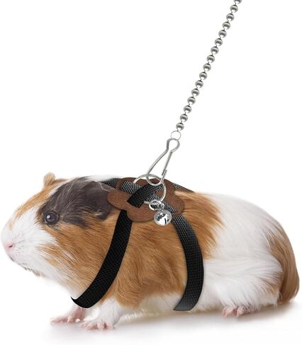 2 Pack Adjustable Hamster Leash Harness for Harness for Ferret Baby Rabbit Hamster Rat Mouse Leash Lead with Bell (Black) in Saudi Arabia