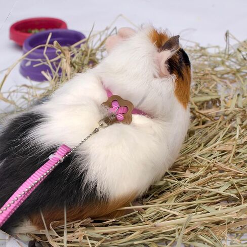 2 Pack Adjustable Hamster Leash Harness for Harness for Ferret Baby Rabbit Hamster Rat Mouse Leash Lead with Bell (Black) in Saudi Arabia
