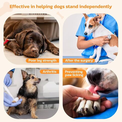 Non-Slip Dog Paw Protector Pads for Senior Dogs, Dog Paw Traction Stickers with Anti-Slip Rubber, Help Dogs Walk on Hardwood Floor, Dog Essentials,Pink 48pcs, XXL for 61-80lbs in Kuwait