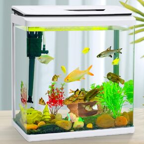 8 Gallon High-Transparency Fish Tanks, Betta and Goldfish Tanks with Filter, Light, Seven-Color LED, Integrated Oxygenation, Filtration, and Circulation, and Aquarium Starter Kits
