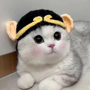 Pet Head Hats, Cat Cosplay Costume, Pet Adorable Headwear, Dog Funny Knit Beanie, Cute Hat for Cat Adjustable Soft Headwear, Hat for Cat Puppy Dog, Halloween Accessory (Medium(Within 17 pounds))