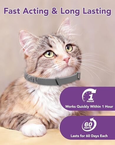 Calming Collar for Cats -4 Pack Soother Cats Calming Collars Anxiety Relief Stress Drug-Free & Lavender-Free -Adjustable for Small, Medium Large Cat -Natural Ingredients Pheromones Rapid Effect Grey in Saudi Arabia
