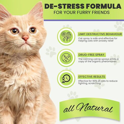 بخاخ مهدئ للقطط من Zenpaws - يخفف التوتر بسرعة - يقلل من خدش الأثاث، والتبول، والعلامات، والقلق - يدعم تخفيف الألعاب النارية، والسفر، وزيارات الطبيب البيطري 60 مل in Kuwait