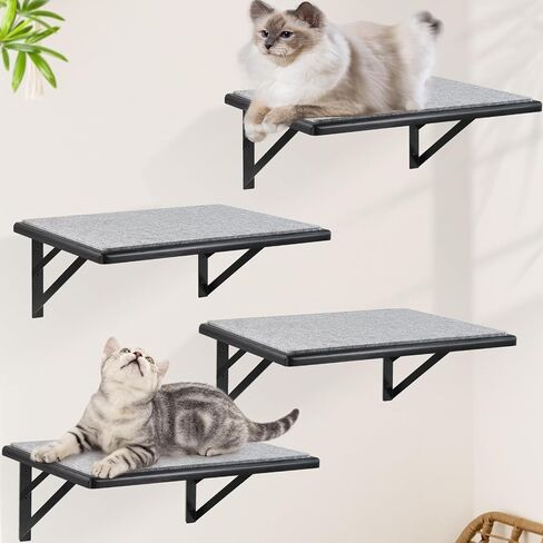 Cat Wall Shelves Set of 4, Wood Cat Shelves for Wall, Cat Wall Bed Hammock with Scratching Pad, Cat Climbing Shelf for Sleeping Playing, Cat Window Perch for Large Cats, Black Cat Furniture for Indoor in Saudi Arabia