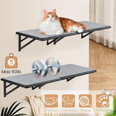 Cat Wall Shelves Set of 4, Wood Cat Shelves for Wall, Cat Wall Bed Hammock with Scratching Pad, Cat Climbing Shelf for Sleeping Playing, Cat Window Perch for Large Cats, Black Cat Furniture for Indoor in Saudi Arabia