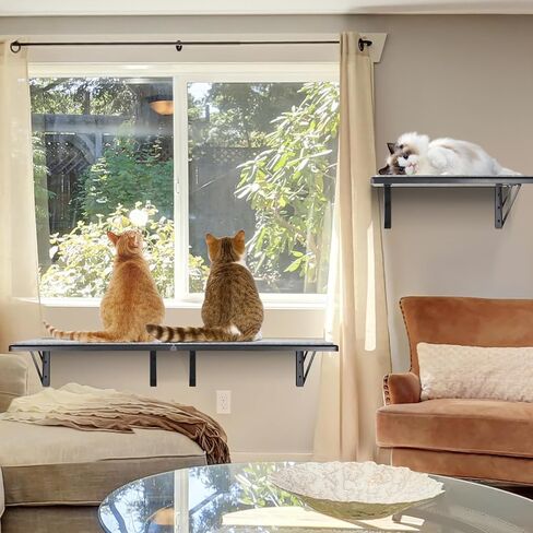 Cat Wall Shelves Set of 4, Wood Cat Shelves for Wall, Cat Wall Bed Hammock with Scratching Pad, Cat Climbing Shelf for Sleeping Playing, Cat Window Perch for Large Cats, Black Cat Furniture for Indoor in Saudi Arabia