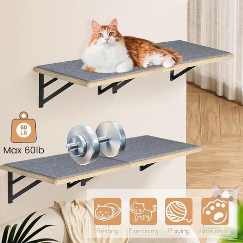 Cat Wall Shelves Set of 4, Wood Cat Shelves for Wall, Cat Wall Bed Hammock with Scratching Pad, Cat Climbing Shelf for Sleeping Playing, Cat Window Perch for Large Cats, Black Cat Furniture for Indoor in Saudi Arabia