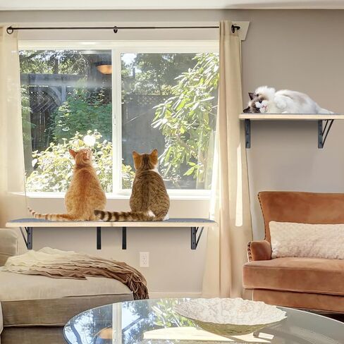 Cat Wall Shelves Set of 4, Wood Cat Shelves for Wall, Cat Wall Bed Hammock with Scratching Pad, Cat Climbing Shelf for Sleeping Playing, Cat Window Perch for Large Cats, Black Cat Furniture for Indoor in Saudi Arabia