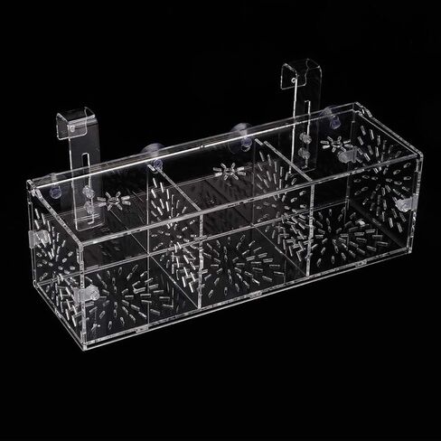 Fish Breeding Isolation Box Aquarium Acclimation Hatchery Incubator Acrylic Transparent Aquarium Hatchery Incubator Holder(30CM*10CM*10CM) in Kuwait