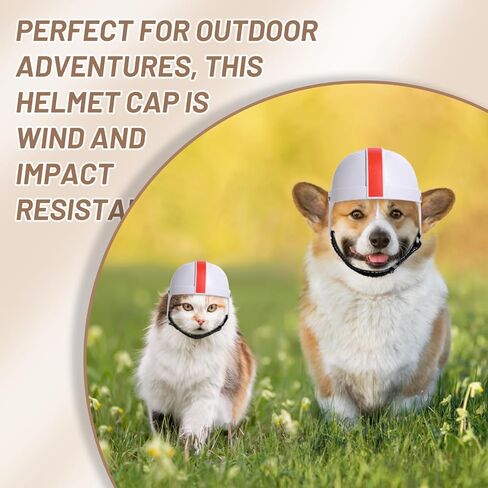 NVTED Pet Cycling Helmet, Dog Cat Motorcycle Bike Helmet for Small Dog Cat Hard Safety Cap with Adjustable Belt Head Protection for Puppy Outdoor Riding (Black-M) in Saudi Arabia