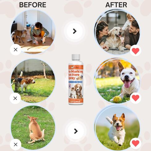 رذاذ الكلاب ليس هنا من Qucship - رذاذ فعال لبقاء الكلاب بعيدًا للتدريب ومنع حوادث التبول في الأماكن المغلقة - مساعد آمن لتدريب الحيوانات الأليفة - 8 أونصة in Kuwait