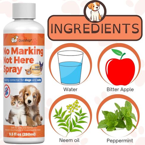 رذاذ الكلاب ليس هنا من Qucship - رذاذ فعال لبقاء الكلاب بعيدًا للتدريب ومنع حوادث التبول في الأماكن المغلقة - مساعد آمن لتدريب الحيوانات الأليفة - 8 أونصة in Kuwait