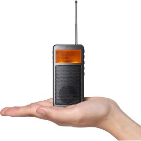 Raddy RF205 Portable FM Radio, Pocket Mini Radio with BT 5.3 Connection, FM-to-BT Signal Output, MP3 Music Player Speaker Battery Operated, Type-C Charging, Alarm Clock, Grey