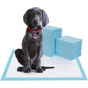 Puppy Pads 100 Count Pee Pads for Dogs Cats Litter Rabbit Chicken Nesting Pads Wee Wee 6-Layer Puppy Pads Bulk Small