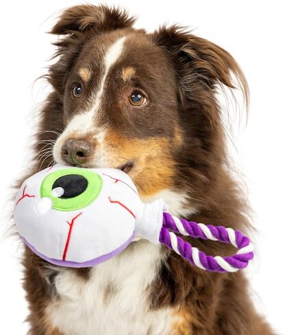 Huxley & Kent for Dogs | Pumpkin Donut | Fall Funny Dog Toy | Power Plush Dog Toy with Squeaker | Dog Gift | Fun, Durable, and Safe | H&K Squeaky Dog Toy in Saudi Arabia