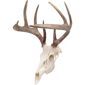 Allen Company EZ Mount Skull Peg Hook, Black