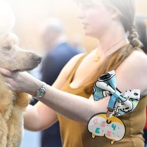 Dog Show Armband Number Holder with Clip Armband for Dog Show Armband Badge Holder Dog ID Holder