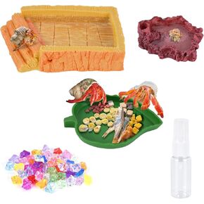5 Pack Hermit Crab Water Pool Hermit Crab Food Bowls Dish Reptile Terrarium Feeding Bowls Reptile Starter Kits Accessories for Hermit Crab Leopard Gecko Frog Spider Lizard Turtle Bearded Dragon etc