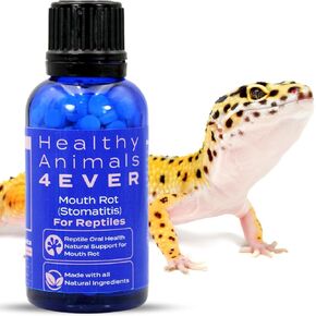 HealthyAnimals4Ever Reptile Oral Health - Natural Support for Mouth Rot, Enhanced Oral Hygiene & Long-Lasting Comfort - Gentle Homeopathic Formula - 300 Count