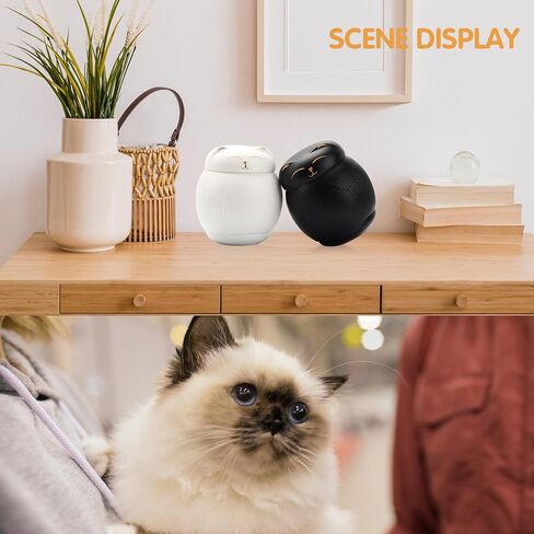 Cat Urns for Ashes,Pet Urns for Cats Box, Cat Cremation Urns Cremation Keepsake,Cat Memorial Urn for Remembering,Black Pets Ceramics Ashes Box,Funeral Urn Ashes Keepsake in Kuwait