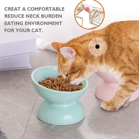 Raised Cat Food Bowls Ceramic - Tilted Elevated Cat Bowls Anti Vomiting - 4.9 in Small Cat Bowl for Dry Wet Food - Stress Free Shallow Cat Feeding Bowls for Whisker Fatigue - Dishwasher Safe - 4oz in Kuwait