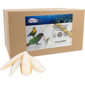 Birds LOVE Natural Cuttlebone – Premium Calcium for Cockatiel, Parrots, Tortoise, Snails, Crabs and Chinchillas - Pure Cuttlebone for Birds - Parakeet Food and Bird Treats - 4lb, Size 5.5 to 6"
