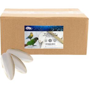 Birds LOVE Natural Cuttlebone – Premium Calcium & Trace Mineral Supplement for Avian Species, Tortoises, and Snails – Pure Cuttlebone for Parakeets and All Birds - 6 Pack of 3.5-4"