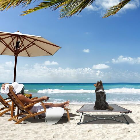 unp Outdoor Dog Bed - Portable, Elevated Camping Dog Cot for Indoor, Courtyard & Travel, Breathable Textilene Mesh, Comfortable with Removable & Washable Cover (Grey, L PRO) in Kuwait