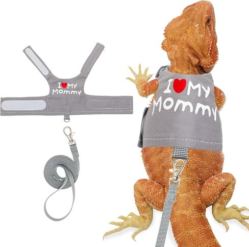 Bearded Dragon Adjustable Clothes Harness with Leash,Bearded Dragon Harness Leash Set for Lizards,Chameleon, Traction Rope Walking Leash Reptile Halloween Costume Accessories in Kuwait