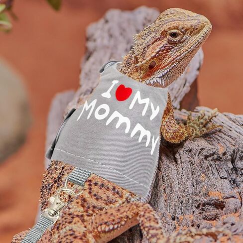Bearded Dragon Adjustable Clothes Harness with Leash,Bearded Dragon Harness Leash Set for Lizards,Chameleon, Traction Rope Walking Leash Reptile Halloween Costume Accessories in Kuwait