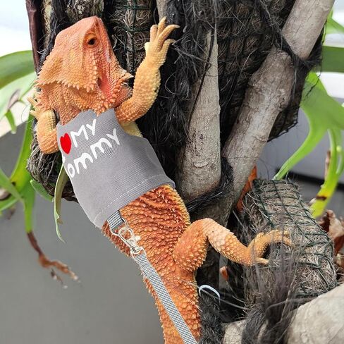 Bearded Dragon Adjustable Clothes Harness with Leash,Bearded Dragon Harness Leash Set for Lizards,Chameleon, Traction Rope Walking Leash Reptile Halloween Costume Accessories in Kuwait