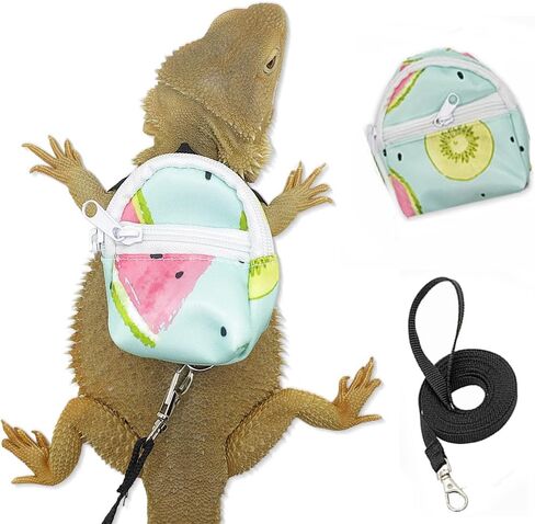 Bearded Dragon Adjustable Clothes Harness with Leash,Bearded Dragon Harness Leash Set for Lizards,Chameleon, Traction Rope Walking Leash Reptile Halloween Costume Accessories in Kuwait