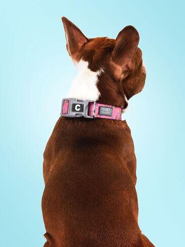 Adjustable Printed Dog Collar, Green in Saudi Arabia
