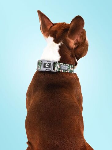 Adjustable Printed Dog Collar, Green in Saudi Arabia