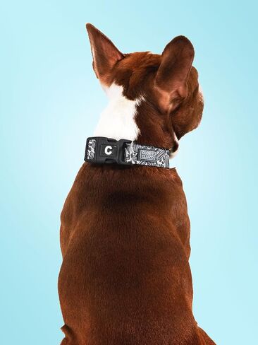 Adjustable Printed Dog Collar, Green in Saudi Arabia