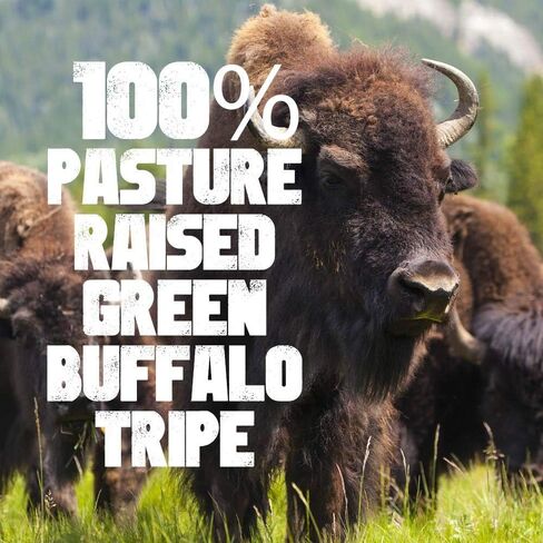 مكافآت تدريب الكلاب Xdog Green Buffalo Tripe من True Beast | مكافأة للكلاب خالية من الحبوب مصنوعة من الكرشة المجففة بالتجميد النقي | عشبي، طبيعي بالكامل، بدون إضافات | صنع في الولايات المتحدة الأمريكية | يعامل الكلب الخام in Saudi Arabia