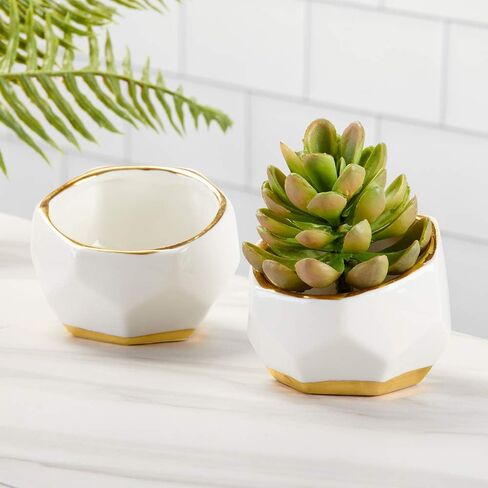 Kate Aspen Geometric Ceramic Planters, Mini Decorative Bowls (Set of 3) Small- Succulent Pots, Modern Decor, Shelf Decor, Desk, Table Décor, White in Saudi Arabia
