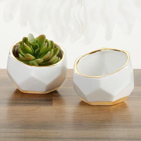 Kate Aspen Geometric Ceramic Planters, Mini Decorative Bowls (Set of 3) Small- Succulent Pots, Modern Decor, Shelf Decor, Desk, Table Décor, White in Saudi Arabia