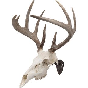 Allen Company EZ Mount Skull Hanger, Fixed, Brown