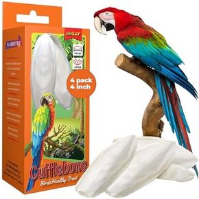 Natural Cuttlebones 6 Pack Calcium Cuttlebone Treats Suitable for All Bird Breeds - Easy to Attach with Metal Holder - Great for Parakeets Parrots Cockatiels - Chew Feeder Tortoise & Snails