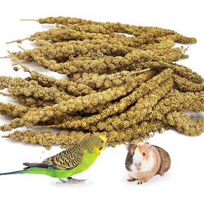 kathson Natural Sun-Dried Birds Millet Spray Millet Treat bird snacks for Parrots Cockatiels Lovebirds Painted Buntings and Finches Parakeets 1.1 LB
