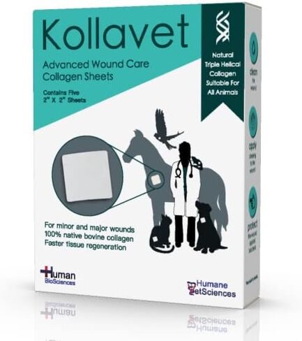 Veterinarian-Recommended Animal Wound Care Dressing for Cats, Dogs, Horses, Reptiles, Pets, and Working Animals (1 Gram Vials) in Saudi Arabia
