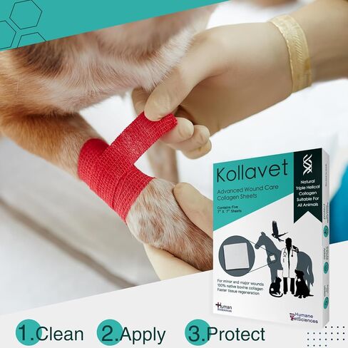 Veterinarian-Recommended Animal Wound Care Dressing for Cats, Dogs, Horses, Reptiles, Pets, and Working Animals (1 Gram Vials) in Saudi Arabia