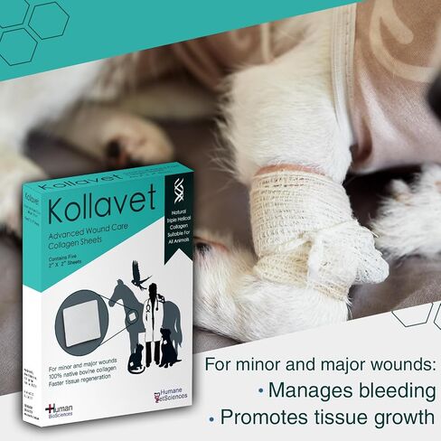 Veterinarian-Recommended Animal Wound Care Dressing for Cats, Dogs, Horses, Reptiles, Pets, and Working Animals (1 Gram Vials) in Saudi Arabia