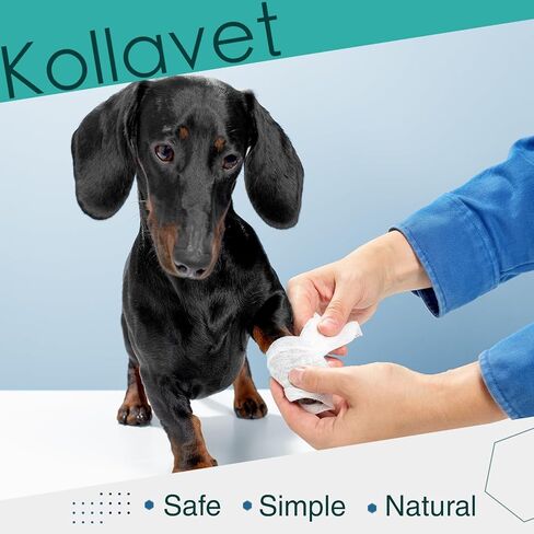 Veterinarian-Recommended Animal Wound Care Dressing for Cats, Dogs, Horses, Reptiles, Pets, and Working Animals (1 Gram Vials) in Saudi Arabia